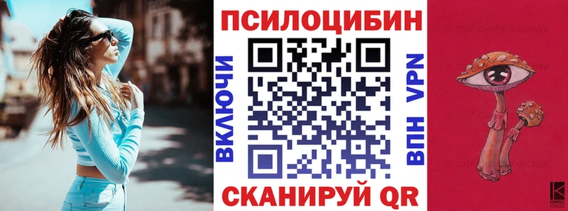 купить наркотик  Сегежа  Псилоцибиновые грибы Psilocybe 