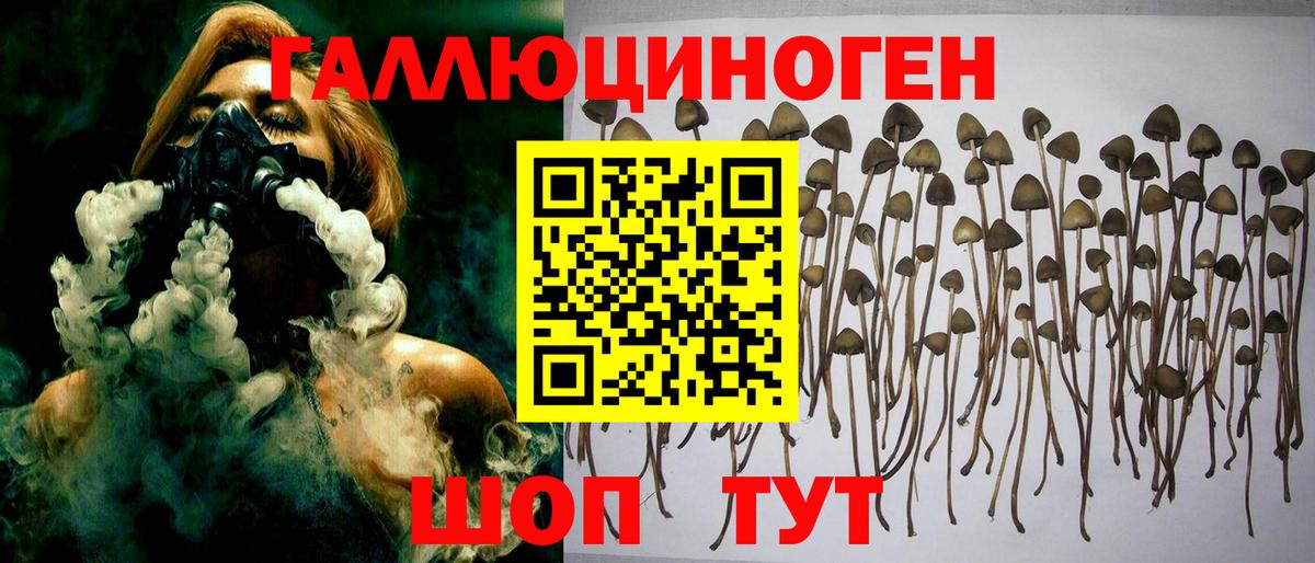 наркота  Псилоцибиновые грибы MAGIC MUSHROOMS  Сегежа  Вход с VPN  Псилоцибиновые грибы Psilocybe 